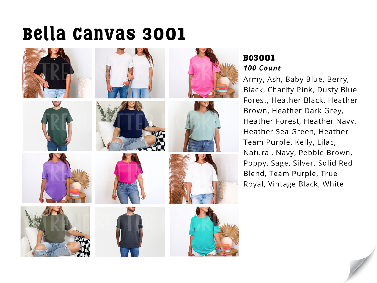 Bella Canvas 3001 t-shirt mockup color options grid with a list of available colors